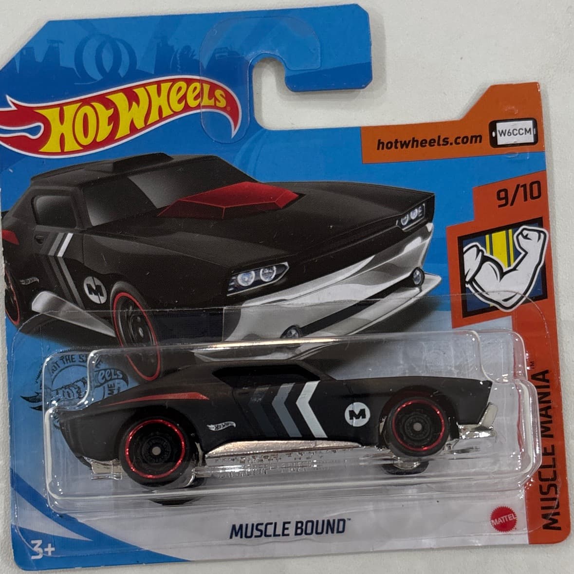 Muscle Bound