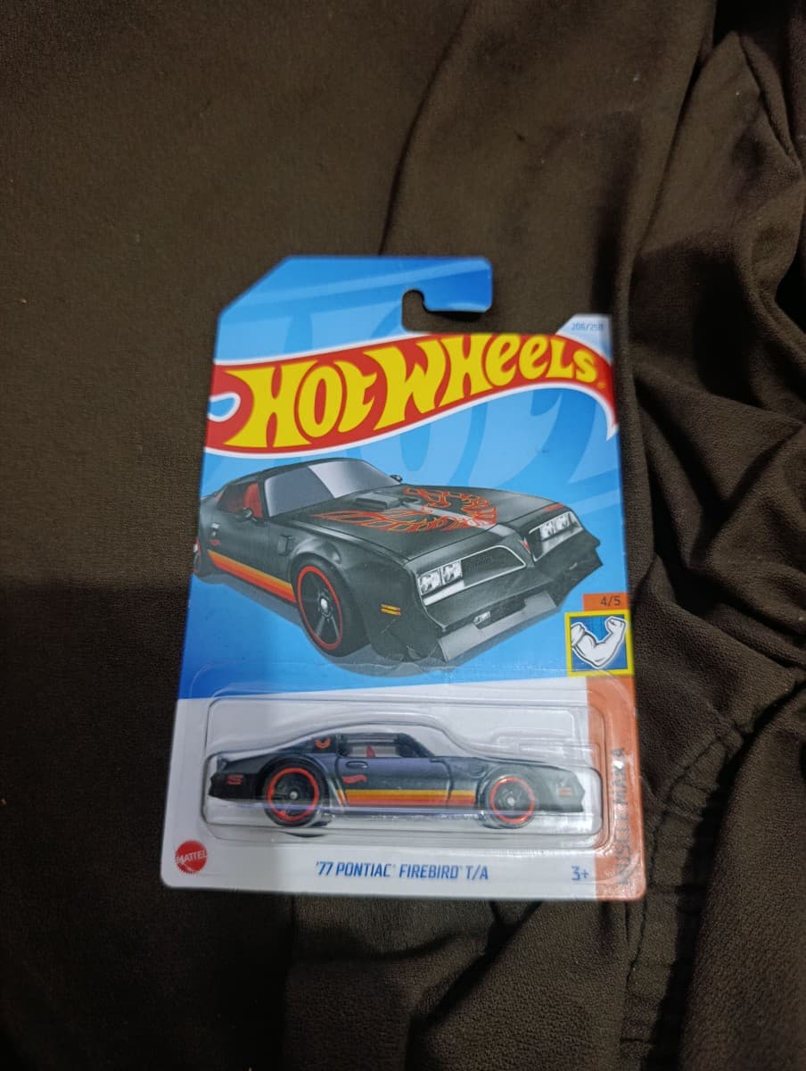 77 Pontiac Firebird T/A